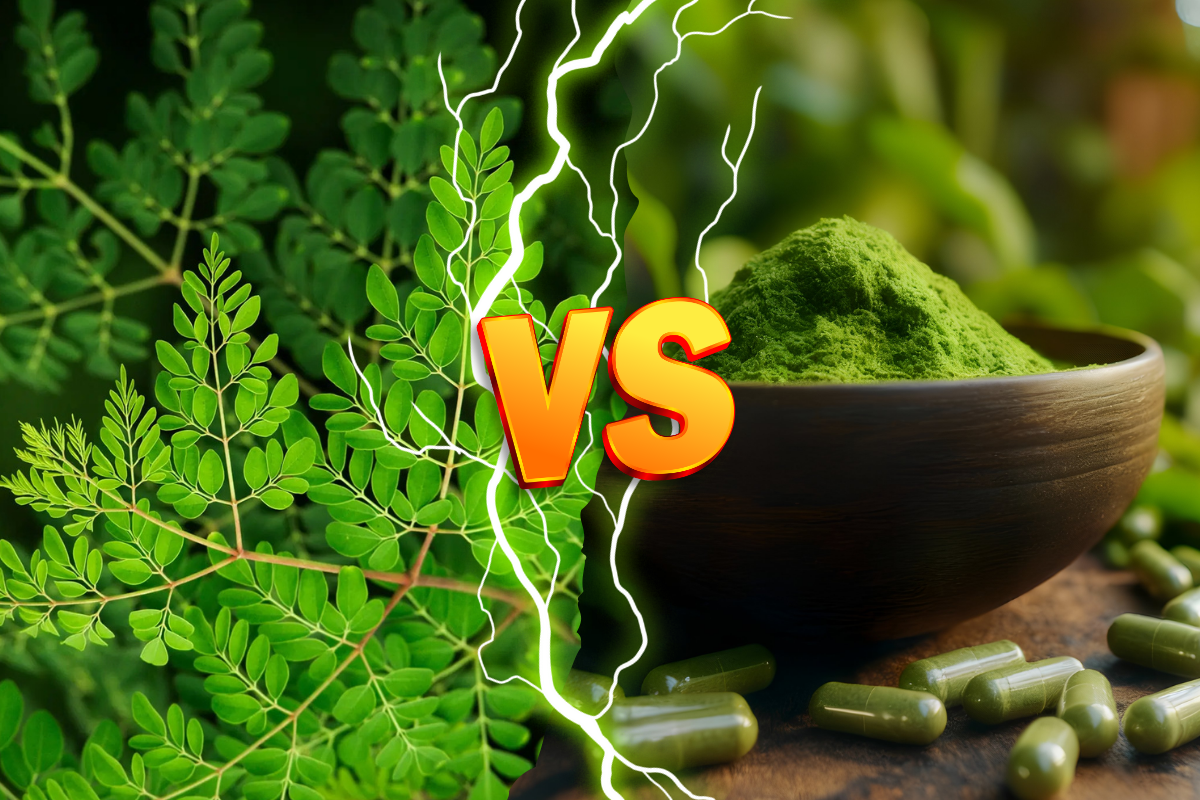 Moringa Vs Kratom: Understanding the Differences & Similarities