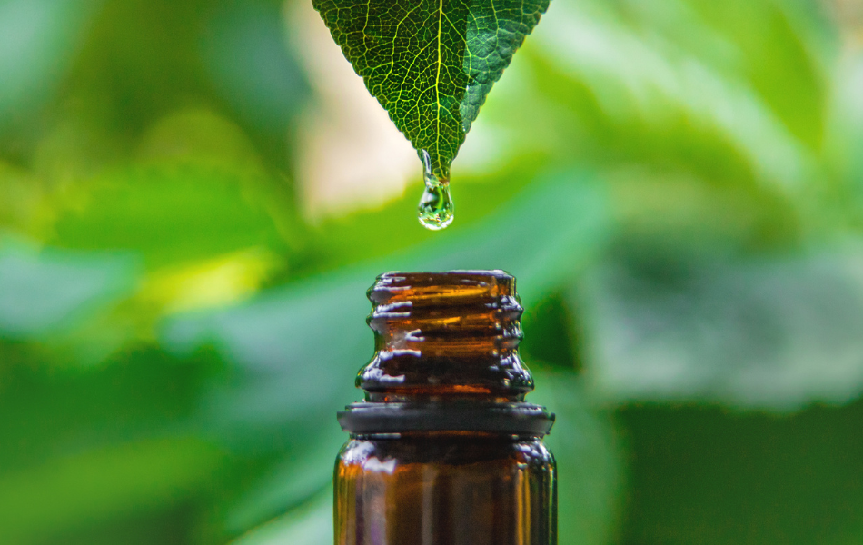 Professor Whytes Kratom