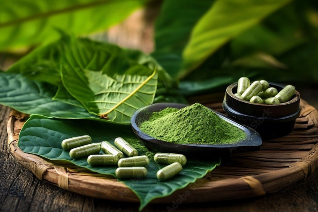 Kratom Recipes You Should Try At Home