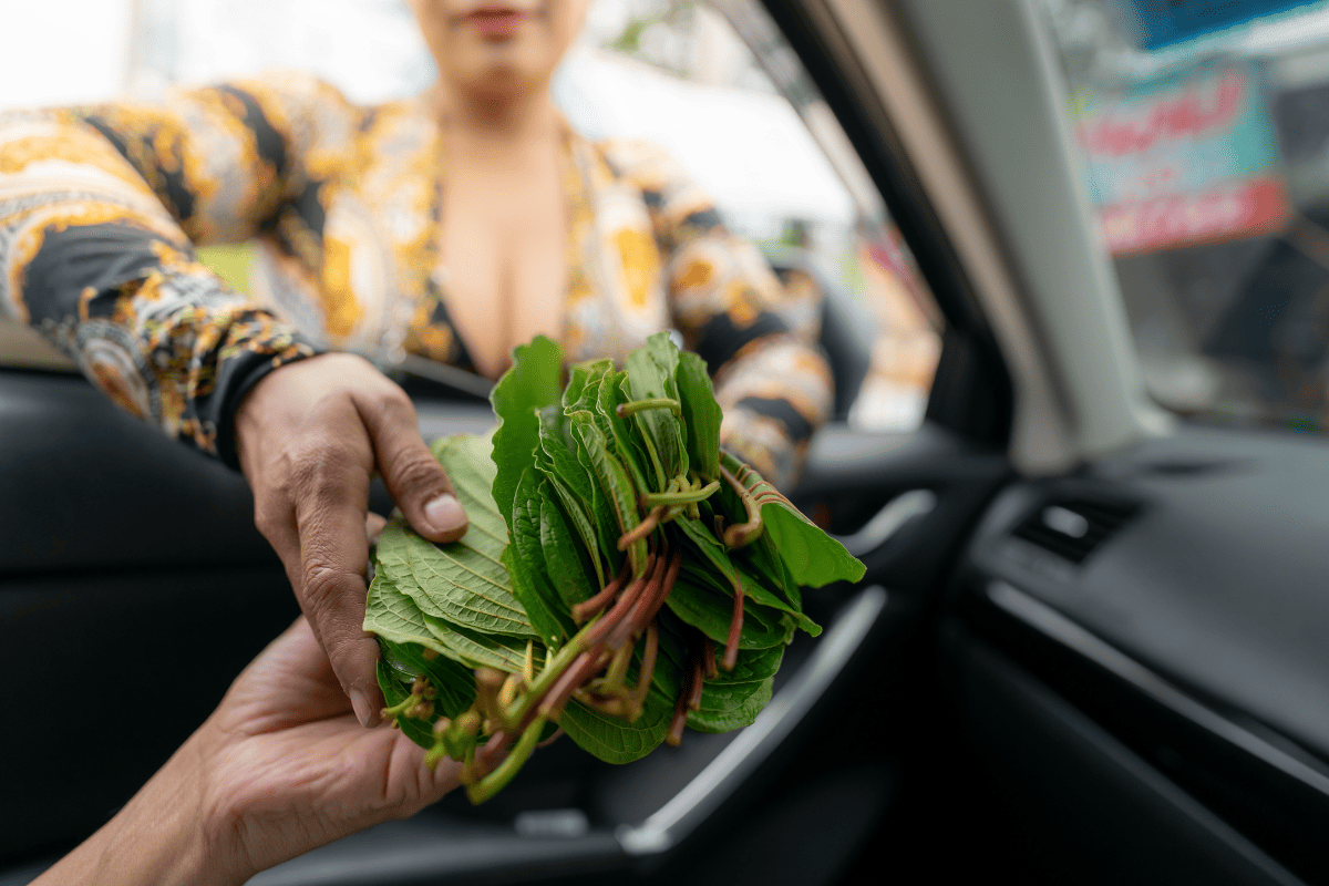 How To Find Gas Stations That Sell Kratom Near You