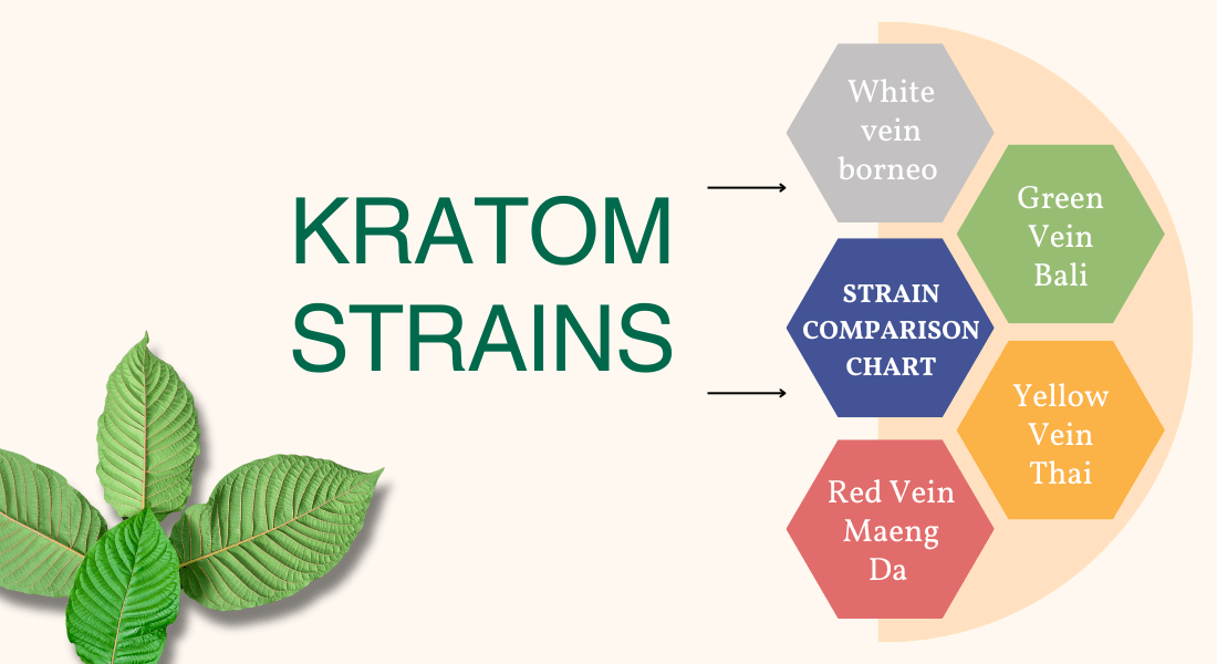 Kratom Strains & Types of Kratom: Red, Green, White & Gold