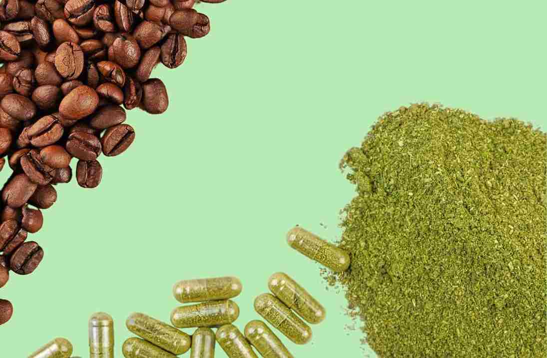 Kratom & Coffee: Plant Relatives