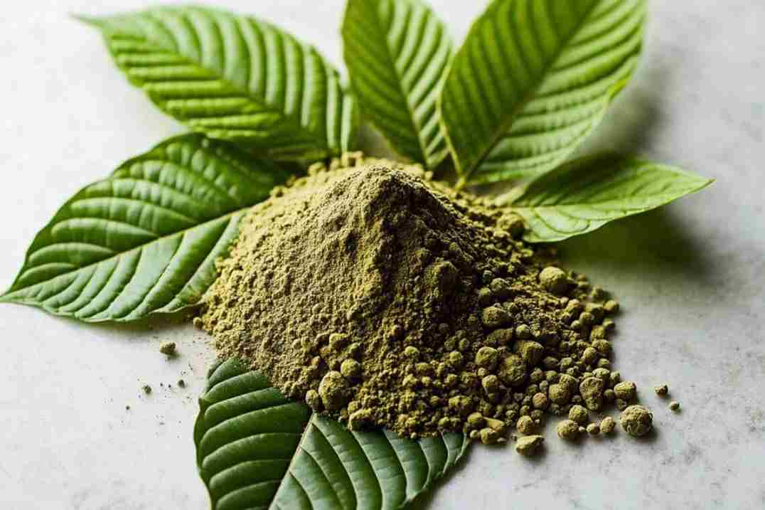 How To Prepare Kratom Powder: A Complete Guide for Beginners