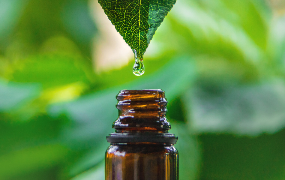 Professor Whytes Kratom 