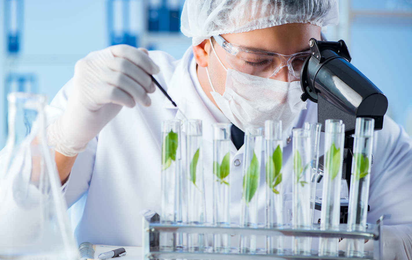 Professor Whytes Kratom 