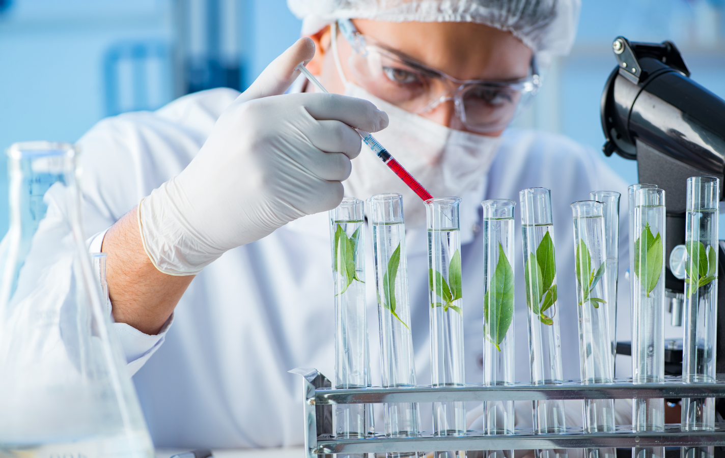 Professor Whytes Kratom 