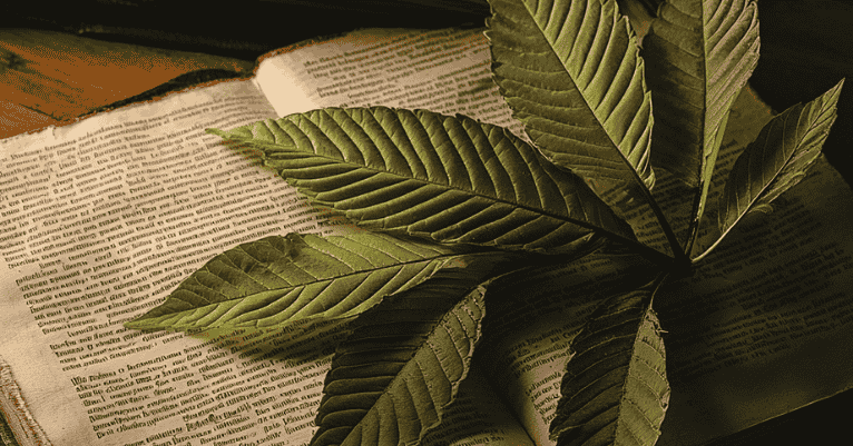 Kratom capsules and powder